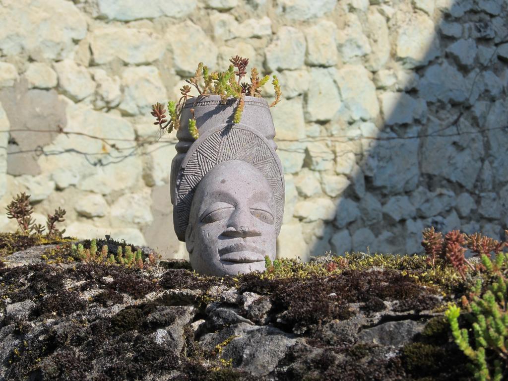 Le Clos De La Garde Anché Eksteriør billede