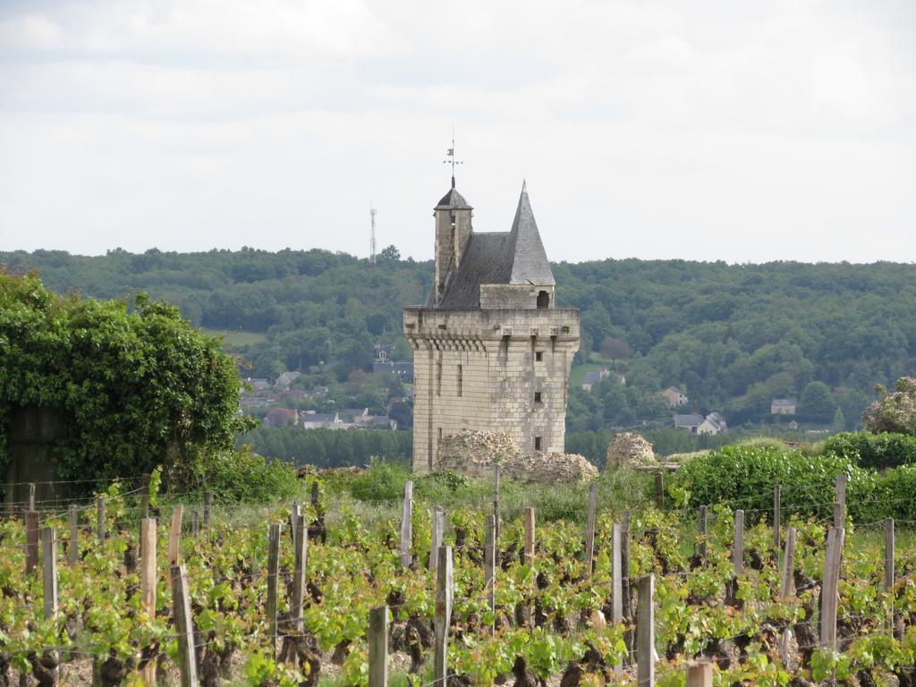 Le Clos De La Garde Anché Eksteriør billede