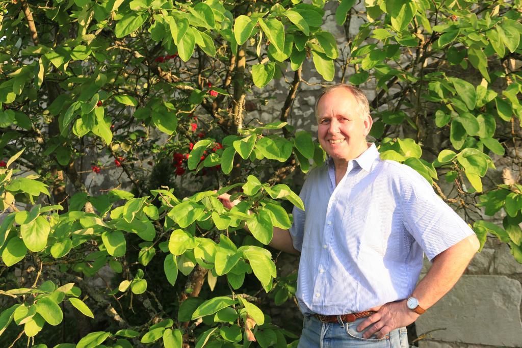 Le Clos De La Garde Anché Eksteriør billede